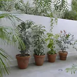 Art Gallery Διαμέρισμα *